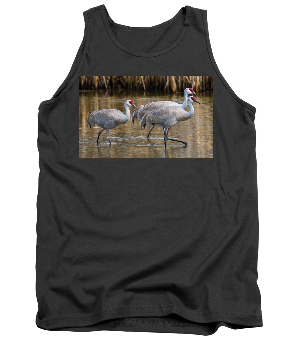 Birds Tank Top featuring the photograph Steppin Out by Randy Hall