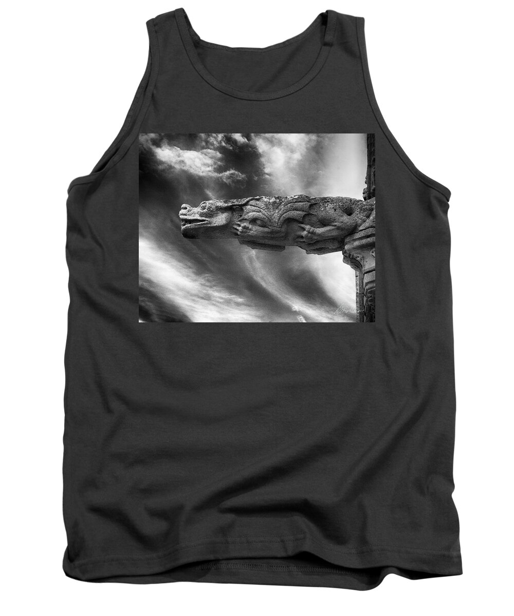 Storm Tank Top featuring the photograph Storm Dragon by Diana Haronis