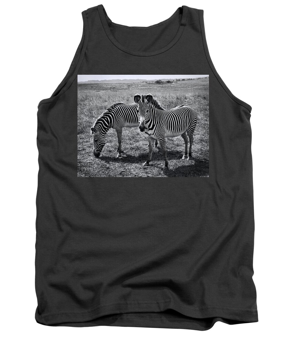 Stripes Duo Tank Top featuring the photograph Stripes Duo by Phyllis Taylor