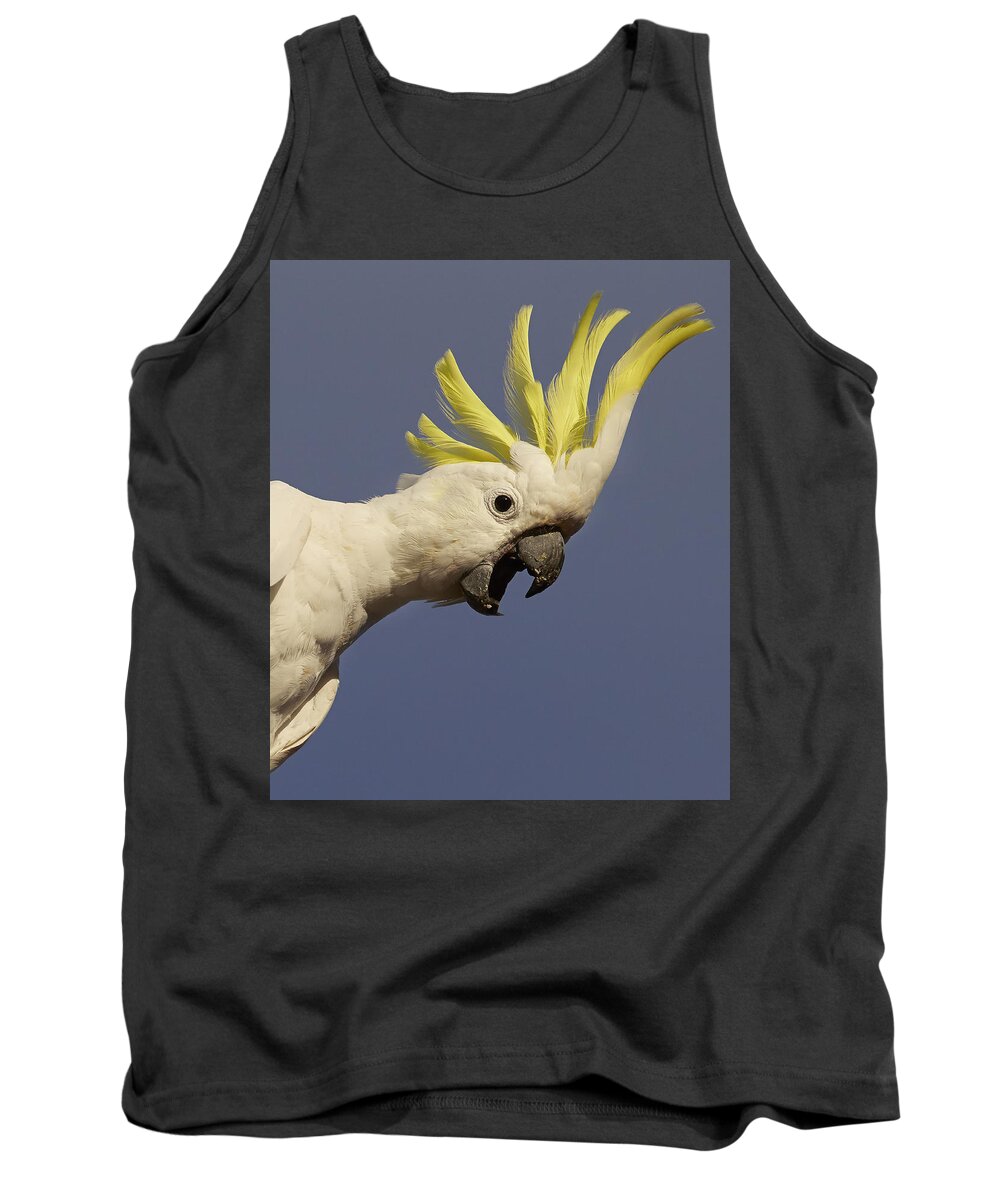 Martin Willis Tank Top featuring the photograph Sulphur-crested Cockatoo Displaying by Martin Willis