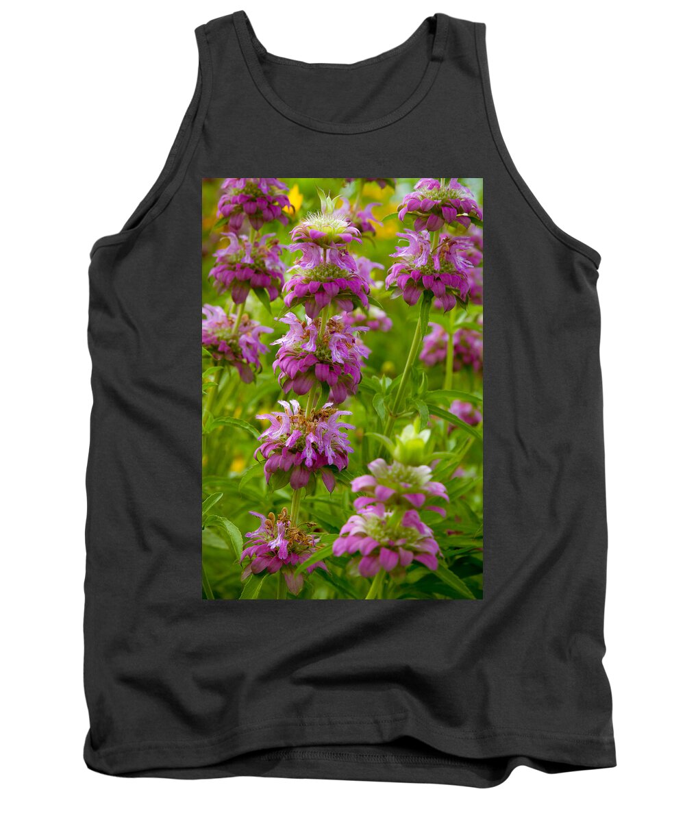 Art Tank Top featuring the photograph Summer Pinks by Ron Pate