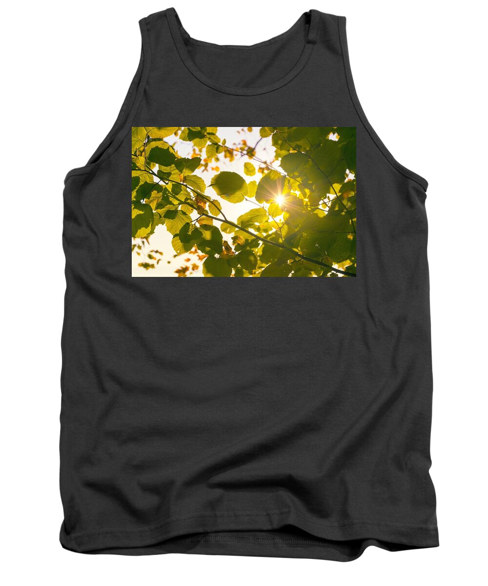 Leaf Tank Top featuring the photograph Sun shining through leaves by Chevy Fleet