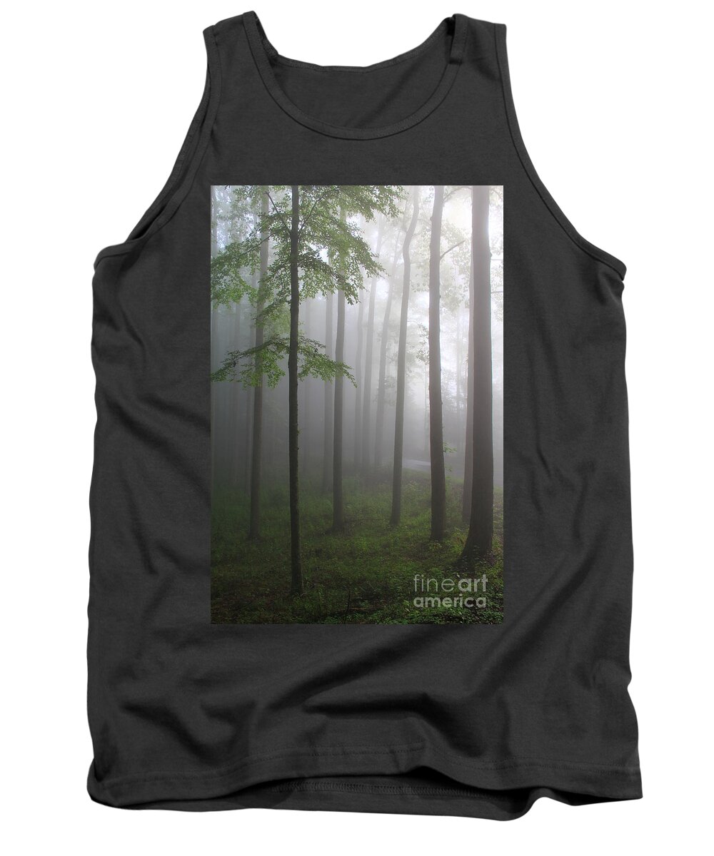 Tree Tank Top featuring the photograph Sunrise Fog by Melissa Petrey