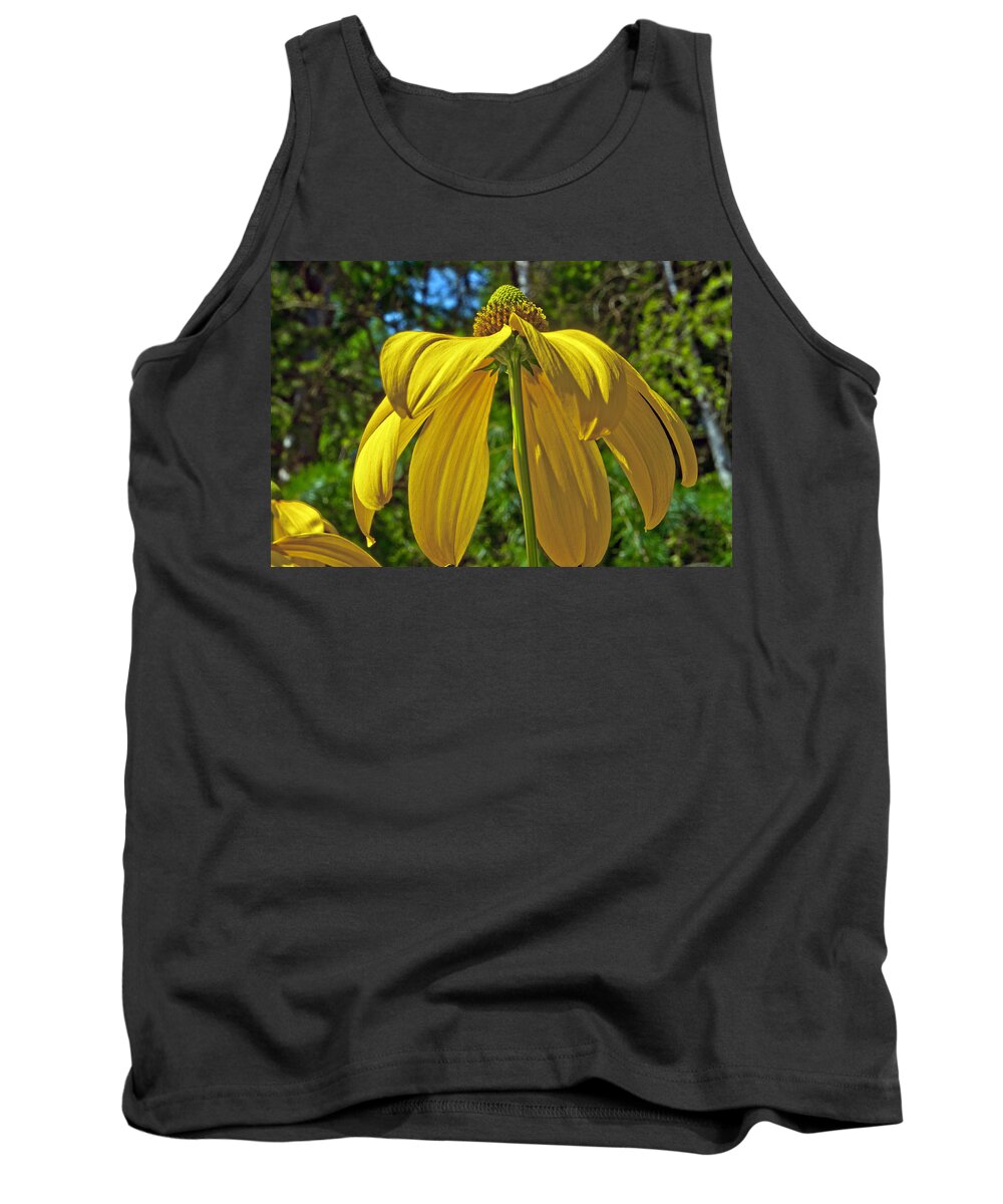 Garden Tank Top featuring the photograph Sunshine on my Shoulders by Tikvah's Hope