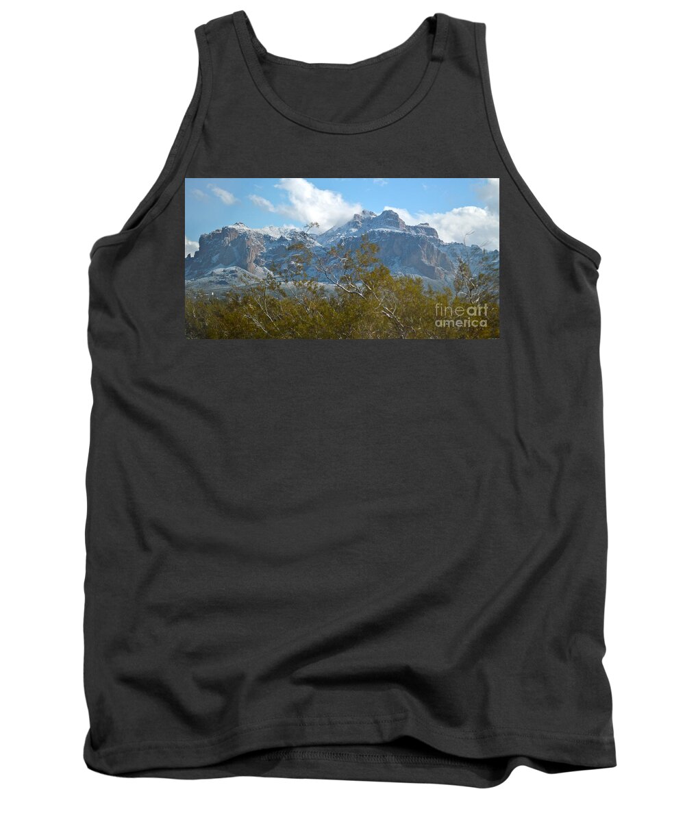 1-1-2015 Tank Top featuring the photograph Superstition New Years Day by Pamela Walrath