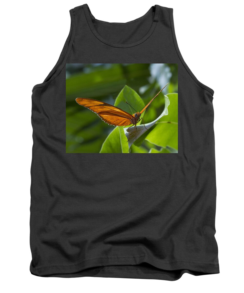 Butterfly Tank Top featuring the photograph Taking Off by Suanne Forster