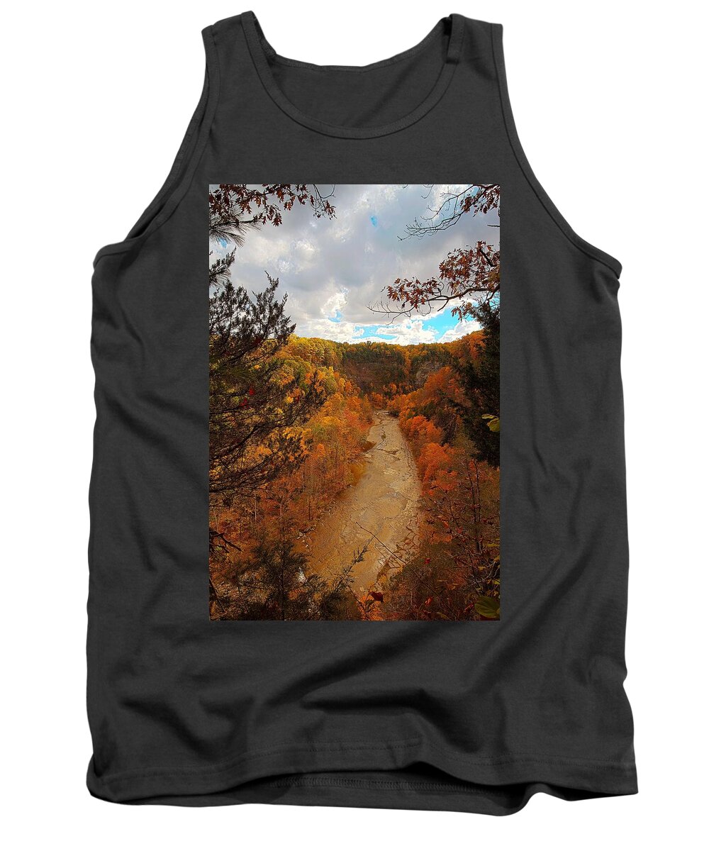 Taughannock Tank Top featuring the painting Taughannock River Canyon In Colorful Fall Ithaca New York III by Paul Ge