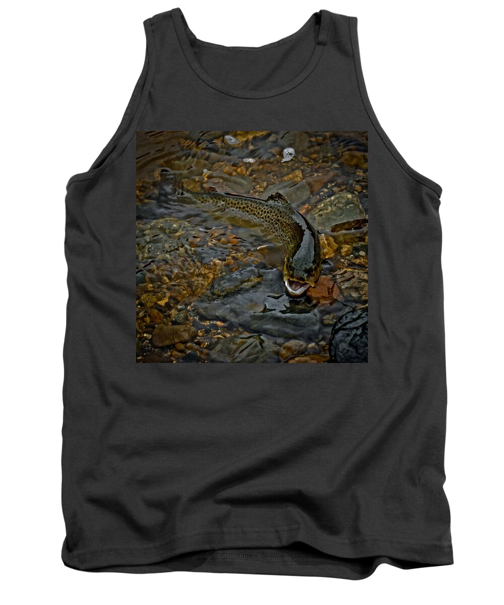 The Brown Trout Tank Top featuring the photograph The Brown Trout by Ernest Echols