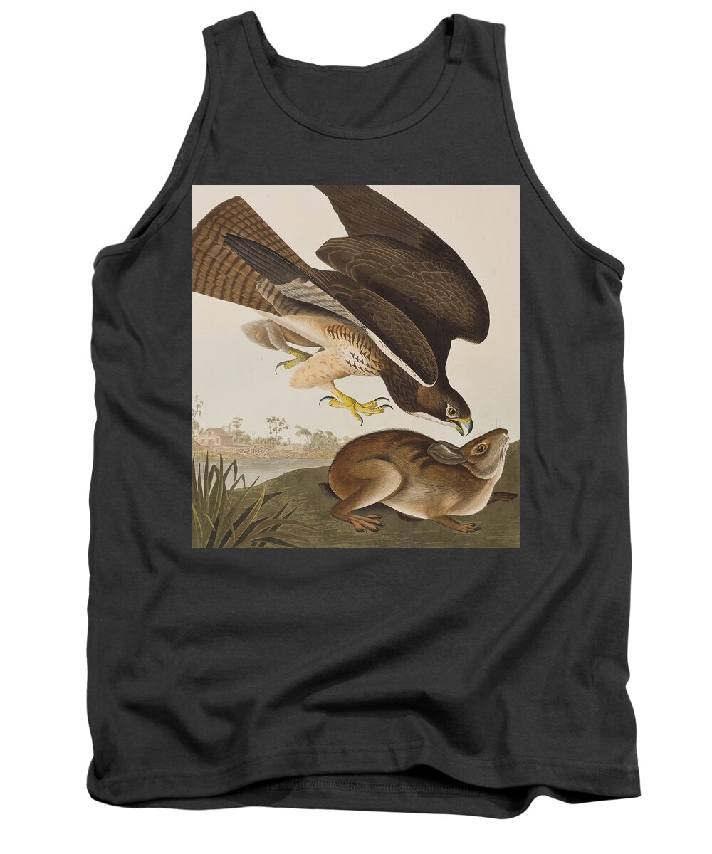 John James Audubon Tank Top featuring the painting The Common Buzzard by John James Audubon