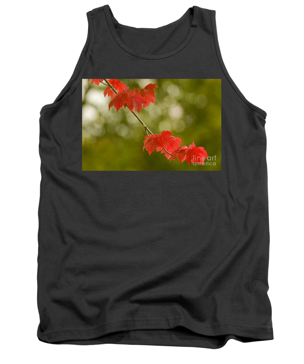 Pacific Tank Top featuring the photograph The Essence Of Autumn by Nick Boren