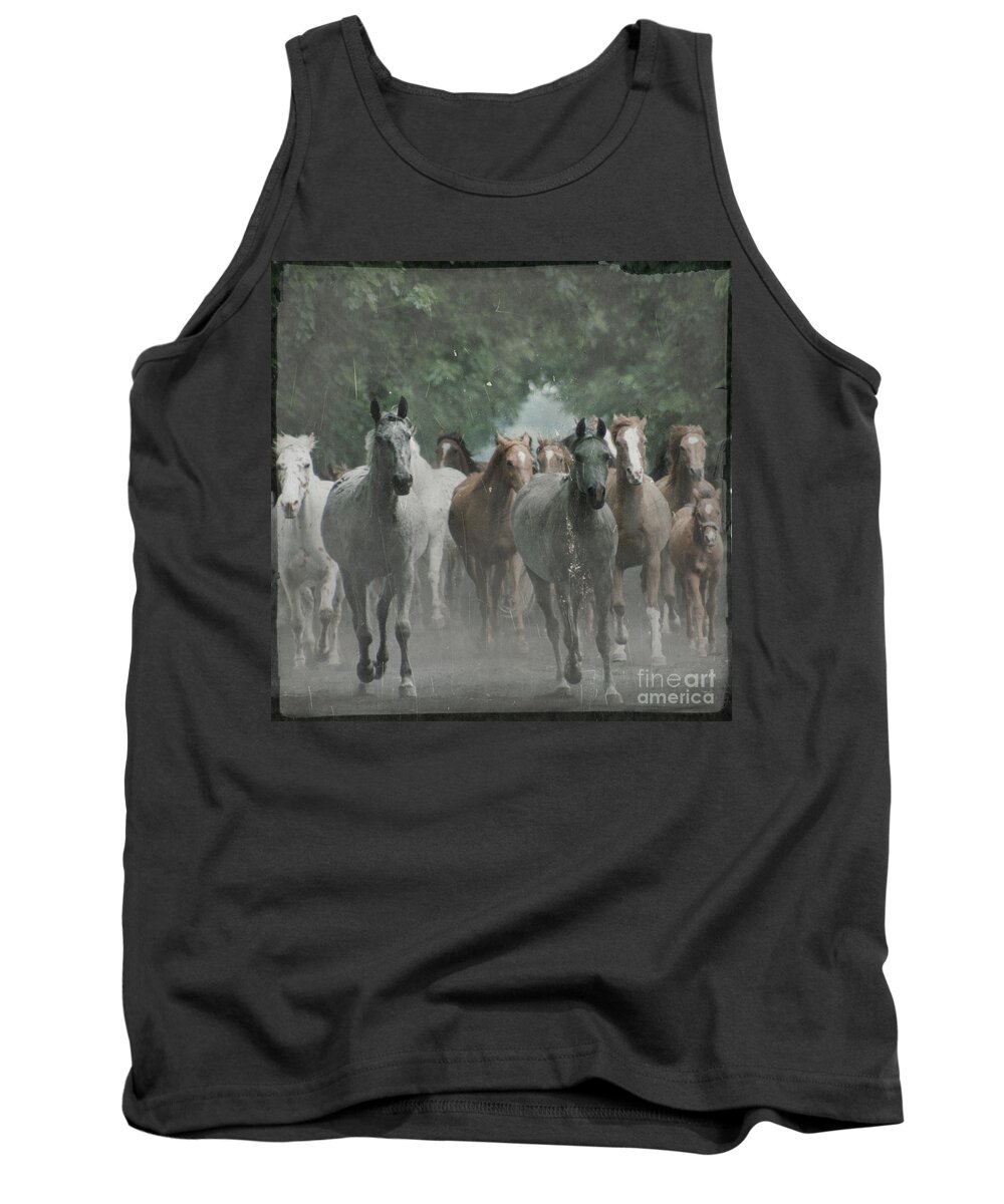 Arabian Tank Top featuring the photograph The horsechestnut tree Avenue by Ang El