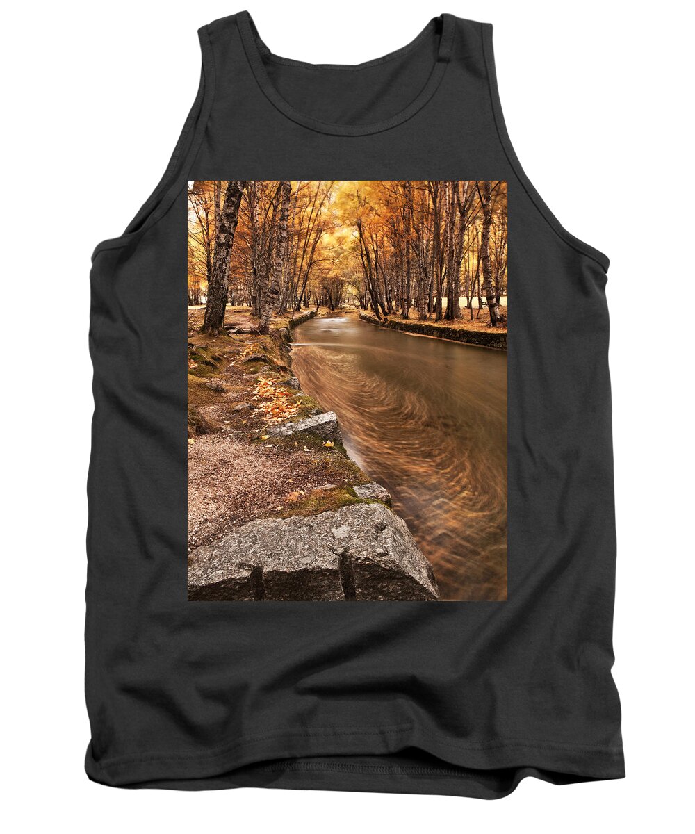 Fall Tank Top featuring the photograph The magic of fall by Jorge Maia