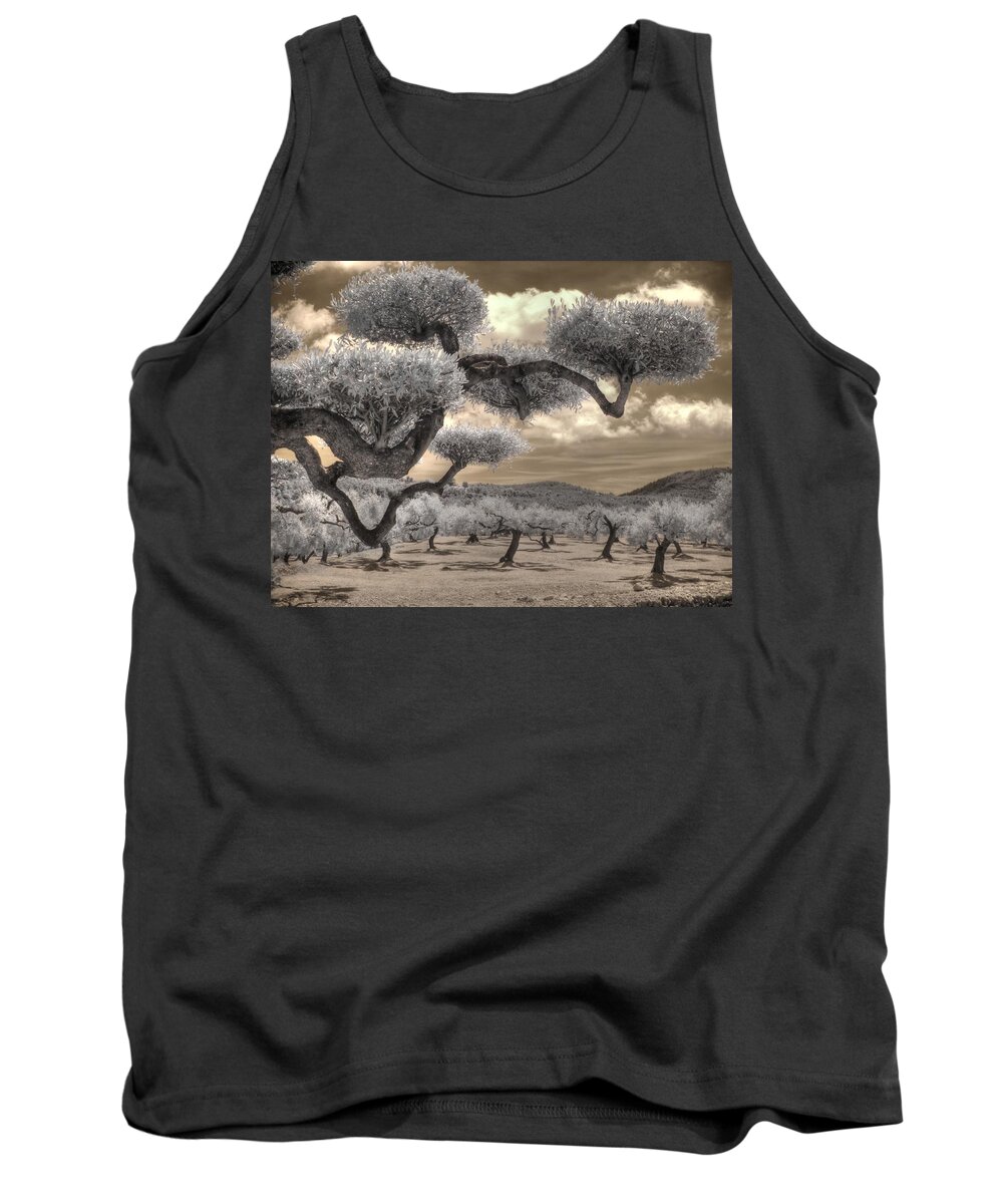 Olives Tank Top featuring the photograph The Olive Grove by Jane Linders