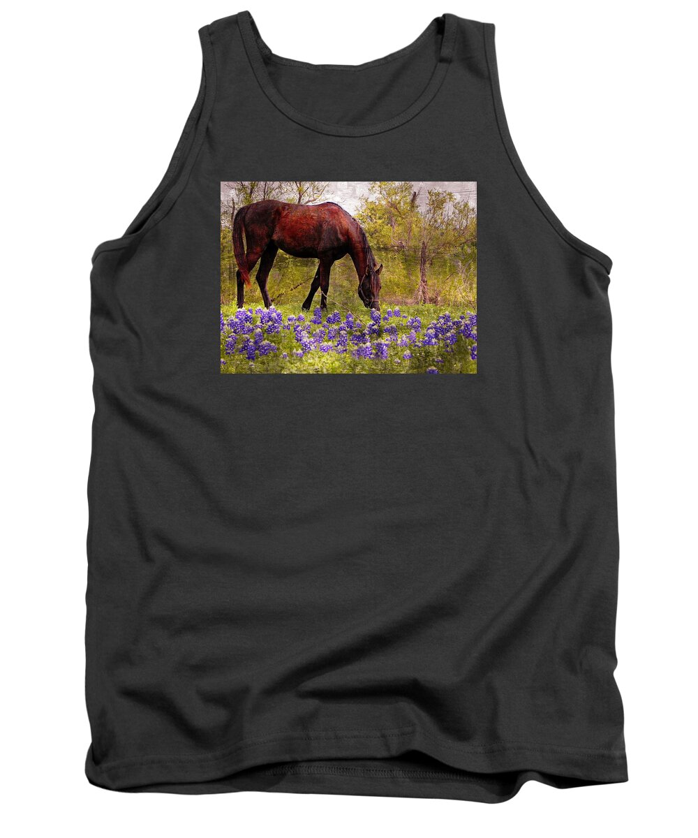 Horse Tank Top featuring the photograph The Pasture by Kathy Churchman