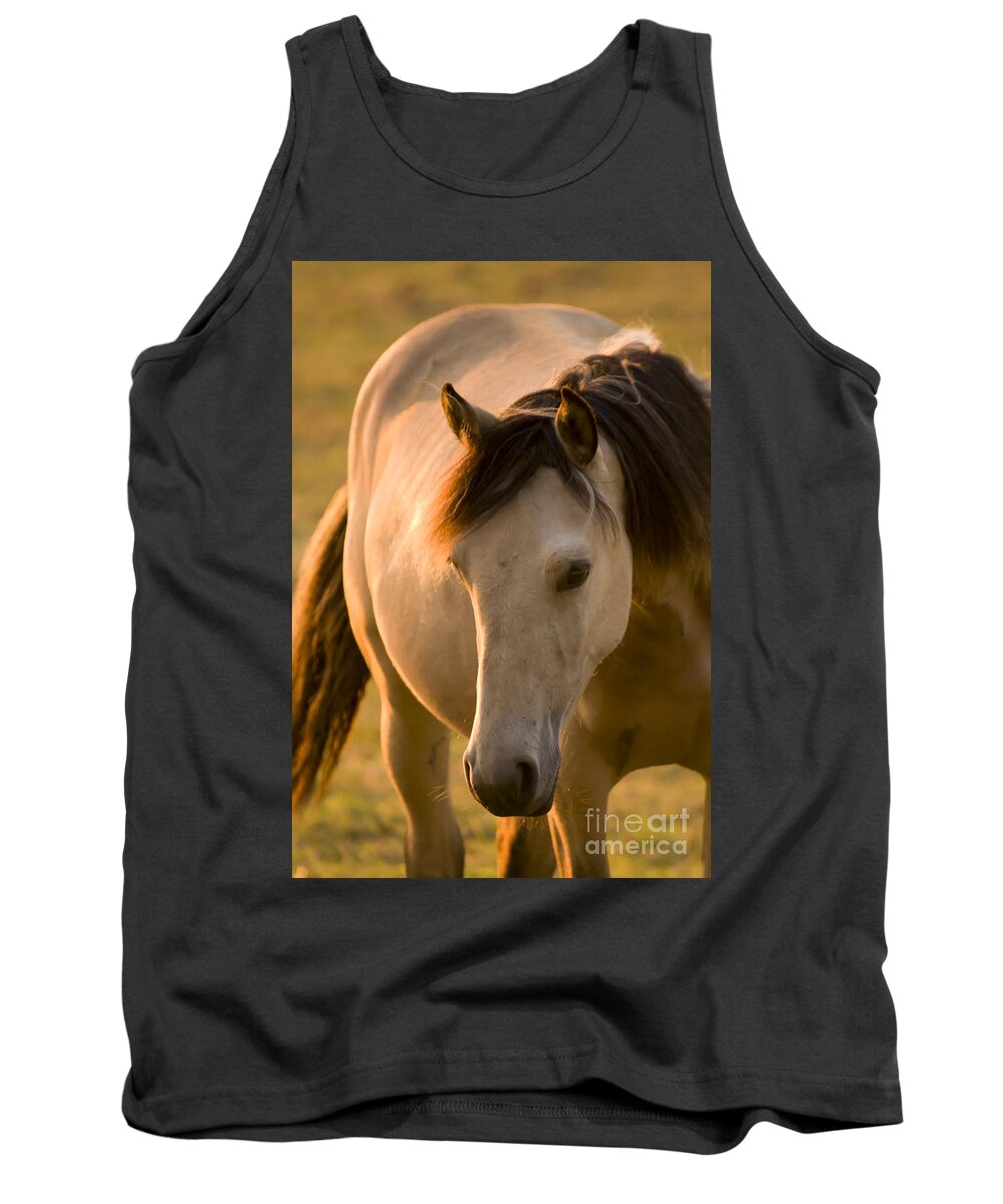 Horse Tank Top featuring the photograph The Portrait In The Setting Sun by Ang El