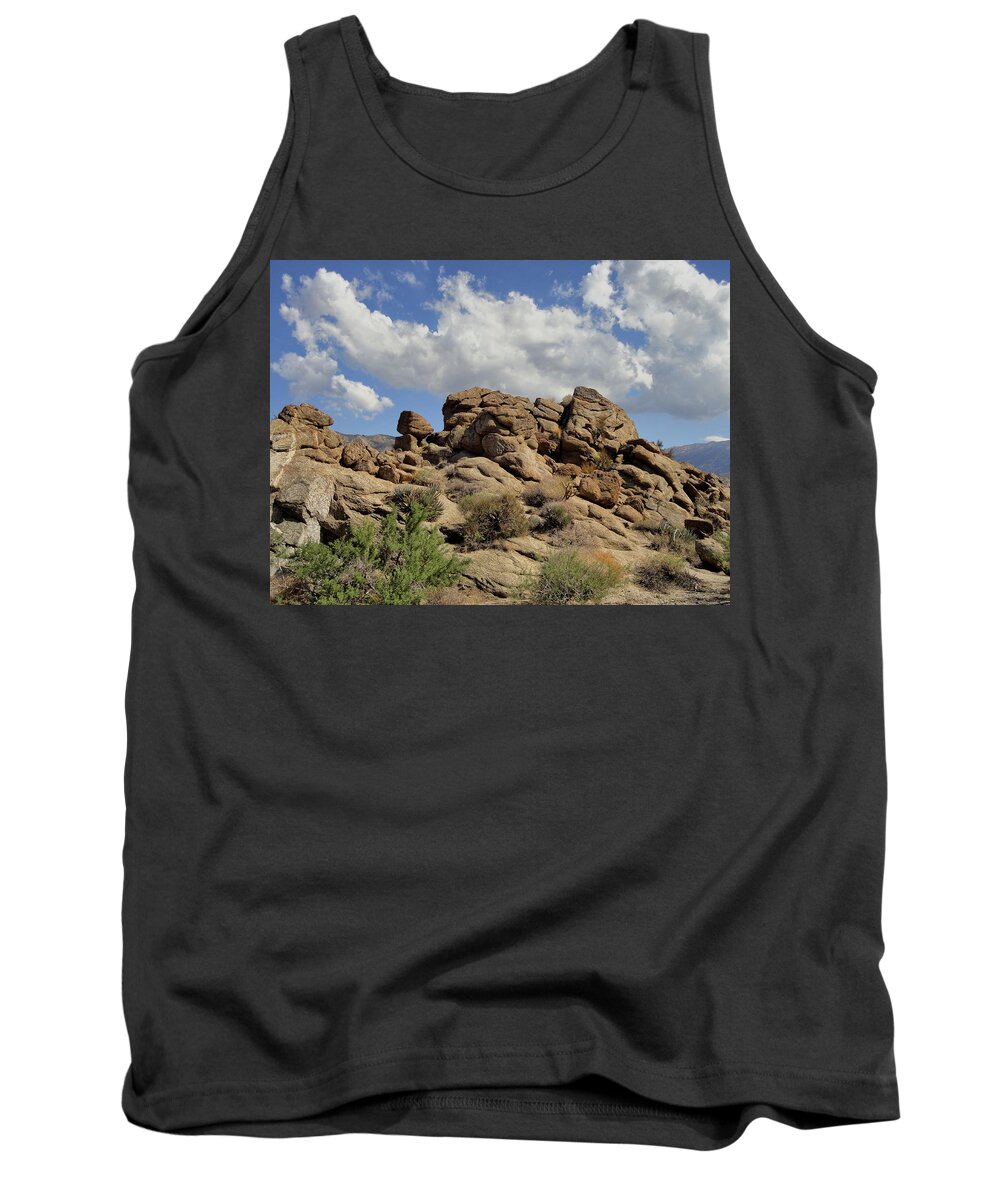  Palms To Pines Highway Tank Top featuring the photograph The Rock Garden by Michael Pickett