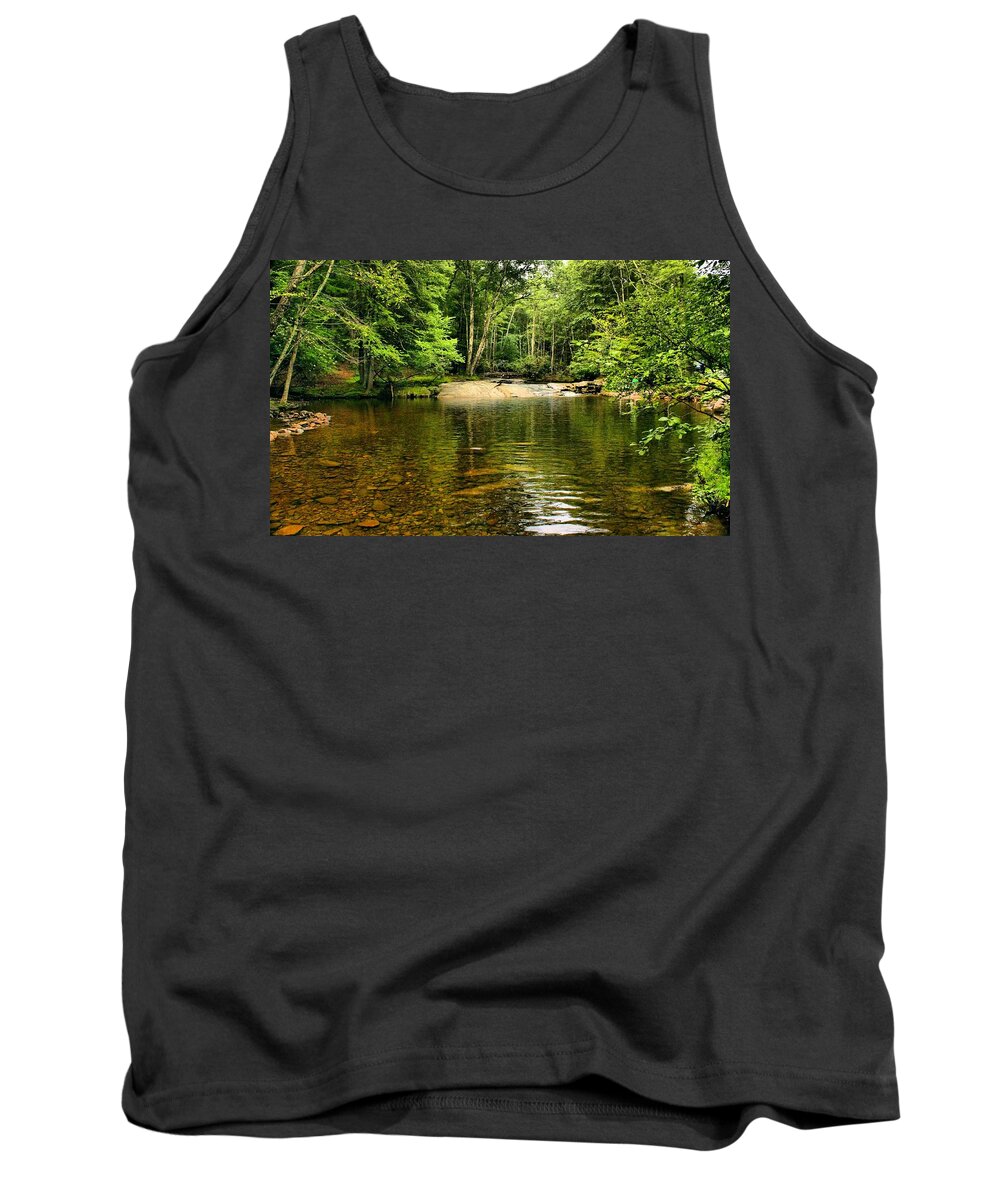 Landscape Tank Top featuring the photograph The Swimming Hole by Robert McCulloch