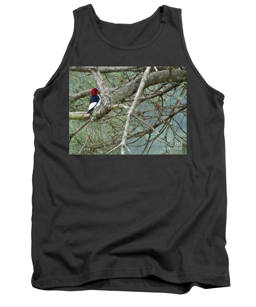 Woodpecker Tank Top featuring the photograph The Woodpecker by Joseph Baril