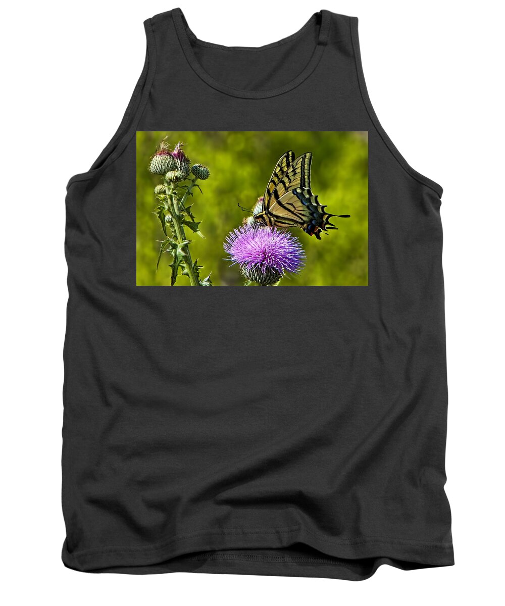 A Tiger Swallowtail (papilio Glaucus) Was Actively Feeding On A Purple Thistle Blossom During Peak Wildflower Season Tank Top featuring the photograph Thistle Do Just Fine by Gary Holmes
