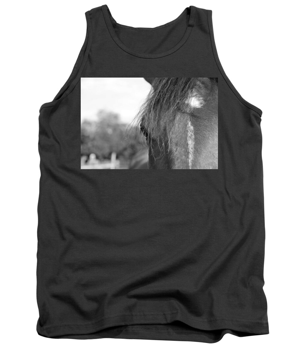 Thoroughbred Tank Top featuring the photograph Thoroughbred b/w by Jennifer Ancker