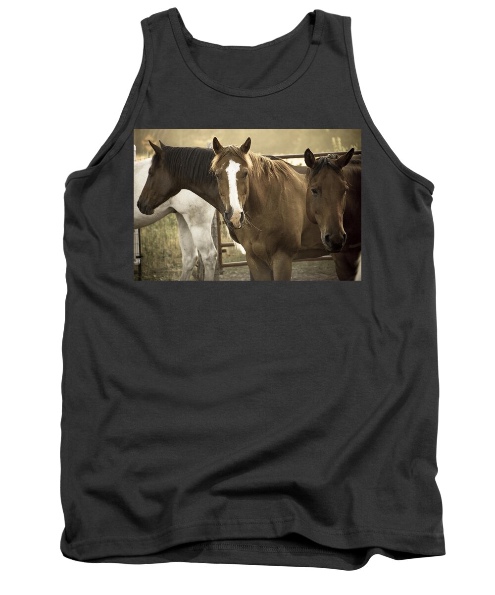 Made In America Tank Top featuring the photograph Three Amigos by Steven Bateson