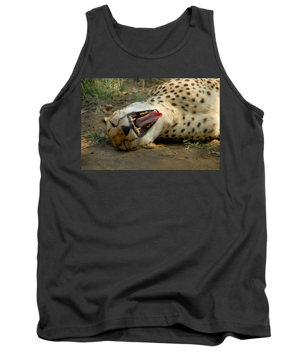 Cat Tank Top featuring the photograph Too Funny by Donna Blackhall