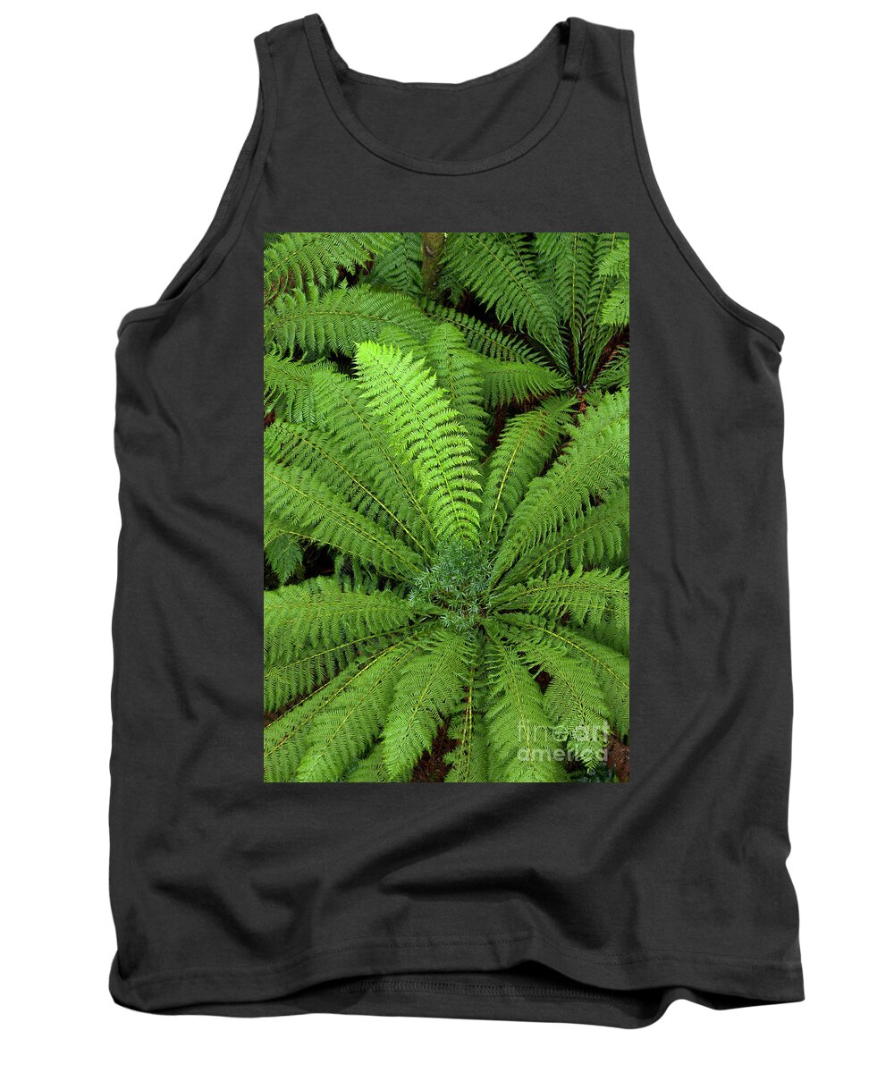 00463448 Tank Top featuring the photograph Tree Fern in Otway Natl Park by Yva Momatiuk and John Eastcott
