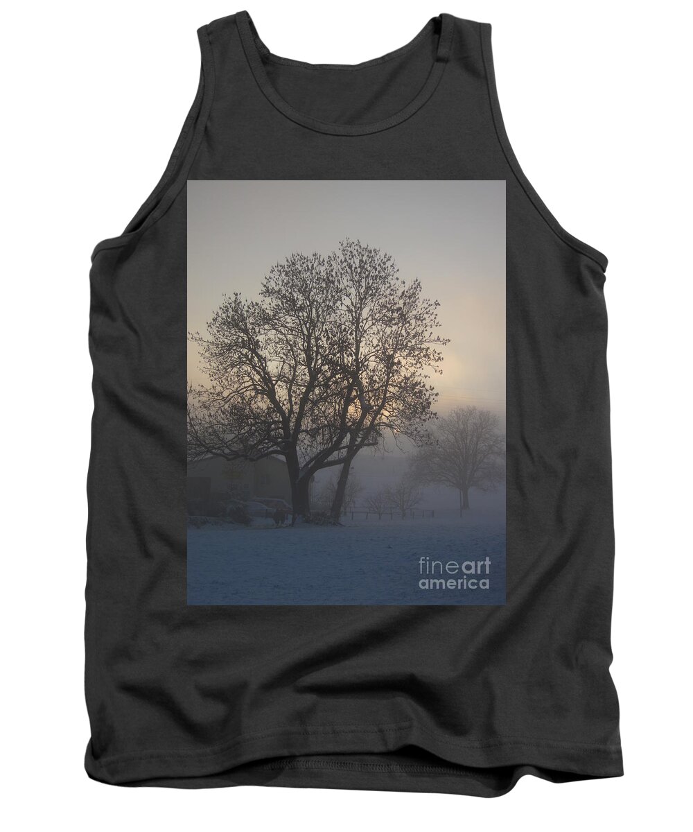 Tree Tank Top featuring the photograph Tree in the foggy winter landscape by Amanda Mohler
