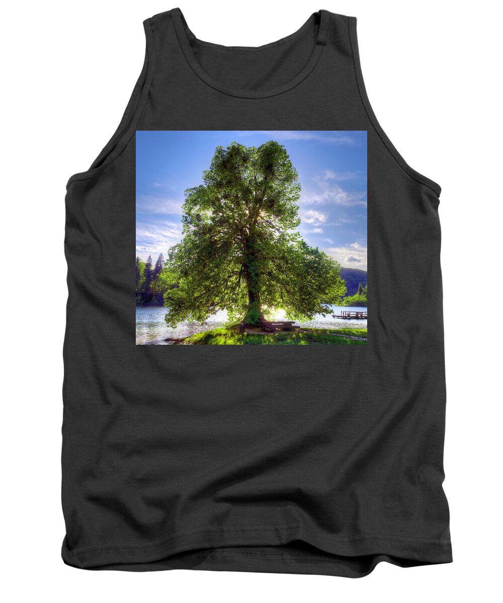 Autumn Tank Top featuring the photograph Tree by Ivan Slosar