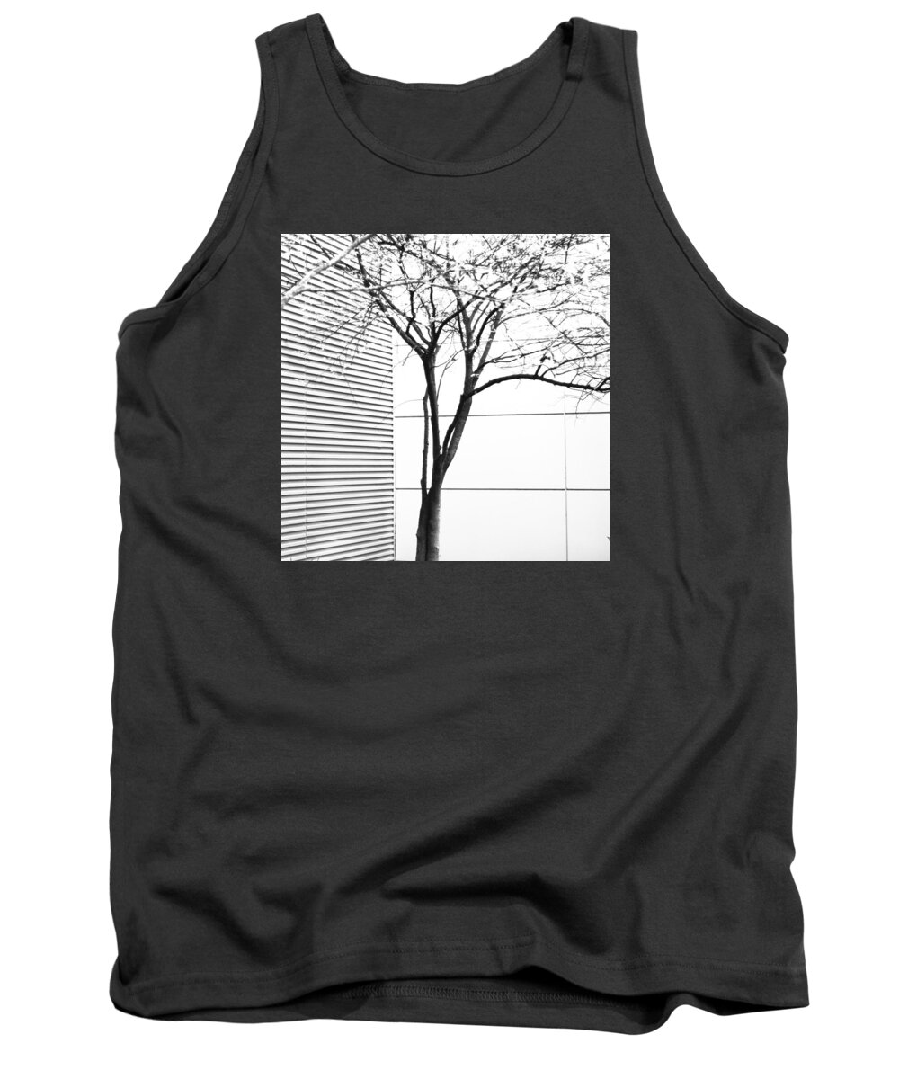 Art Tank Top featuring the photograph Tree Lines by Darryl Dalton