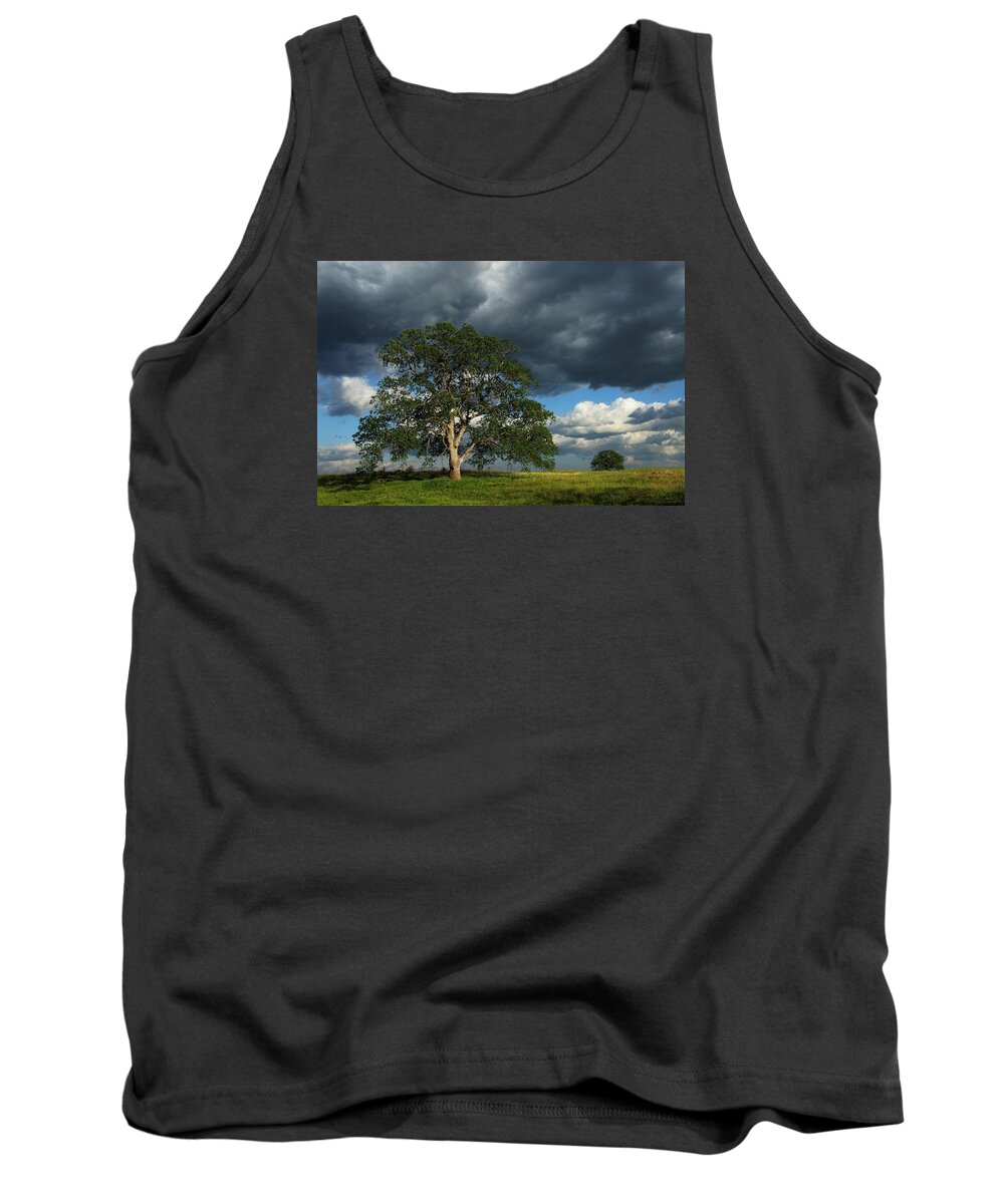 Tree Tank Top featuring the photograph Tree With Storm Clouds by Robert Woodward