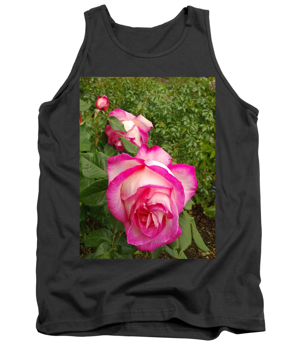 Rose Tank Top featuring the photograph Triplets by Claudia Goodell