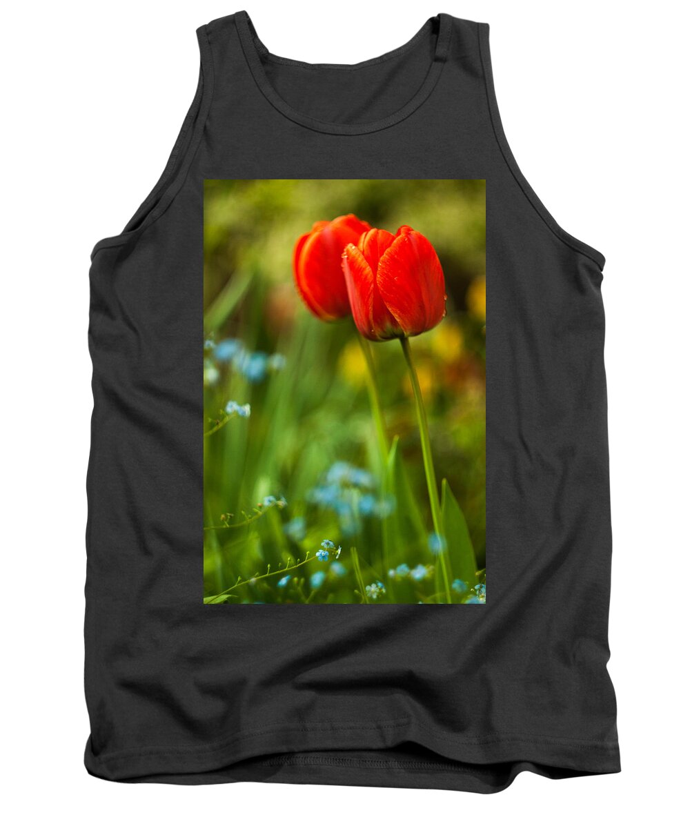Flowers Tank Top featuring the photograph Tulips in garden by Davorin Mance