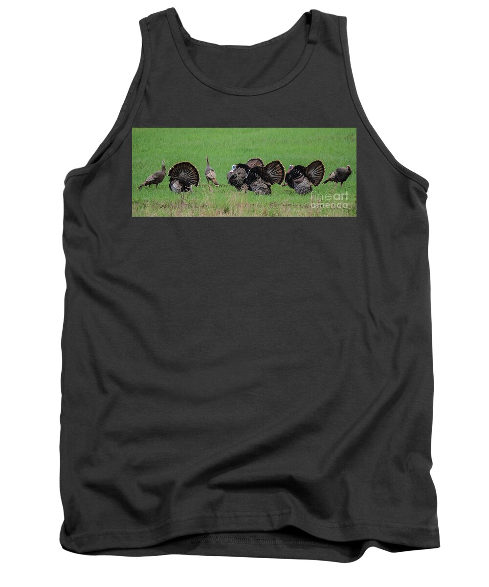 Landscape Tank Top featuring the photograph Turkey Mating Ritual by Cheryl Baxter