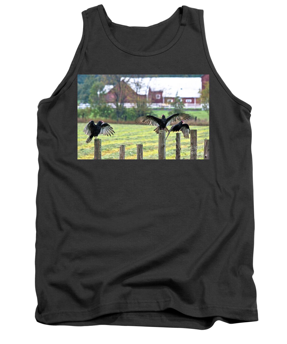  Tank Top featuring the photograph Turkey Vulture Welcome by Cheryl Baxter