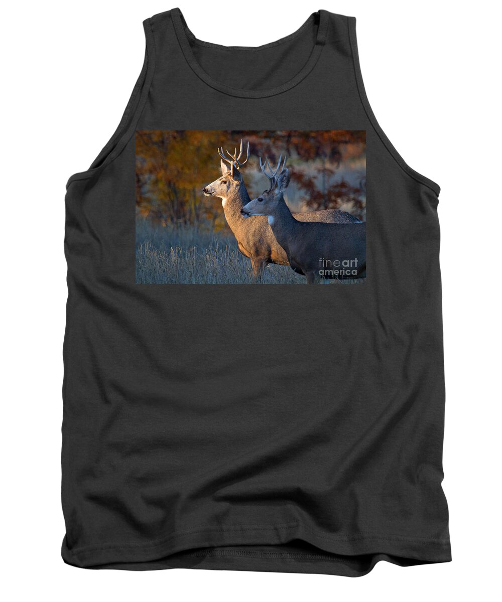 Mule Deer Buck; Two Deer Tank Top featuring the photograph Two Faces West by Jim Garrison