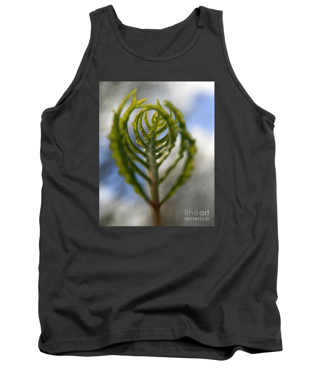 Fern Tank Top featuring the photograph Unwrapped by Neal Eslinger