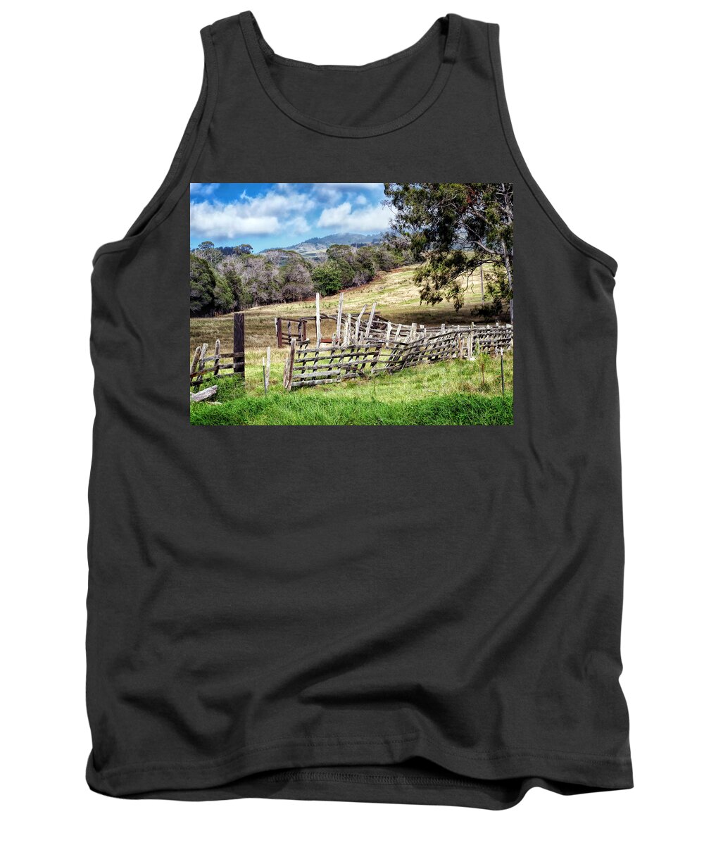 Hawaii Tank Top featuring the photograph Upcountry 2 by Dawn Eshelman