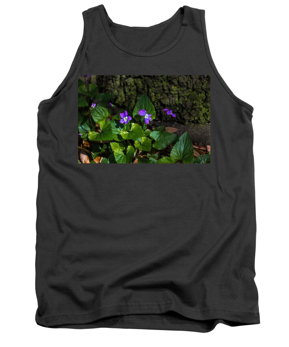 Violets Tank Top featuring the photograph Violets by Dorothy Cunningham