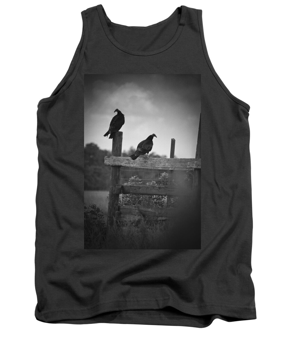 Everglades Tank Top featuring the photograph Vultures On Fence by Bradley R Youngberg