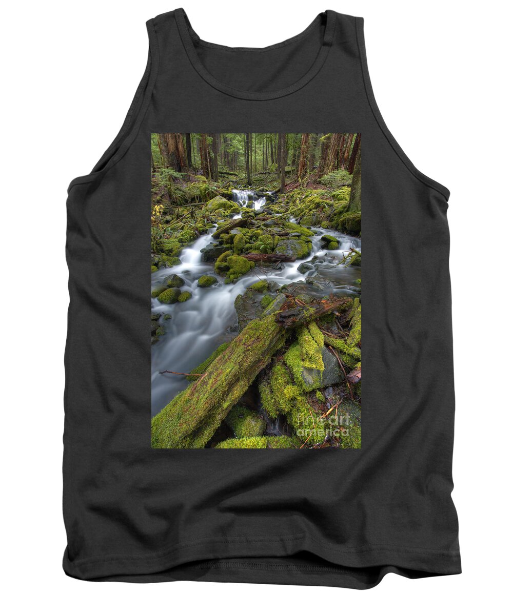 Pacific Northwest Tank Top featuring the photograph Walking to Sol Duc by Marco Crupi