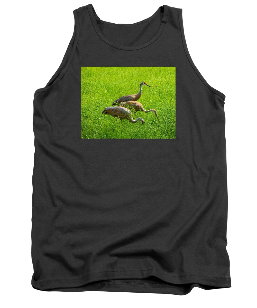Sandhill Crane Tank Top featuring the photograph Watch Out by Kimberly Woyak