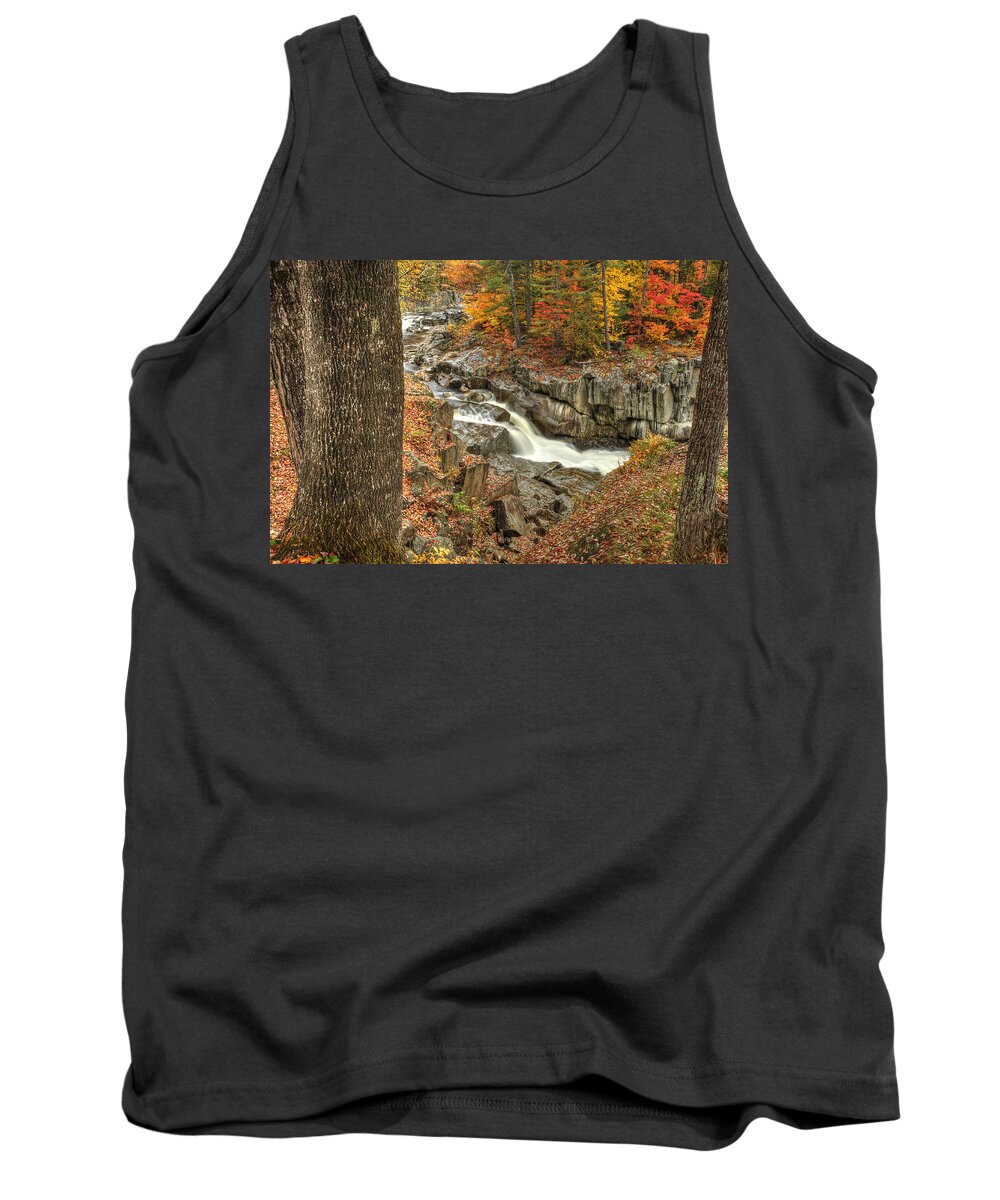Photograph Tank Top featuring the photograph Watercolor by Richard Gehlbach