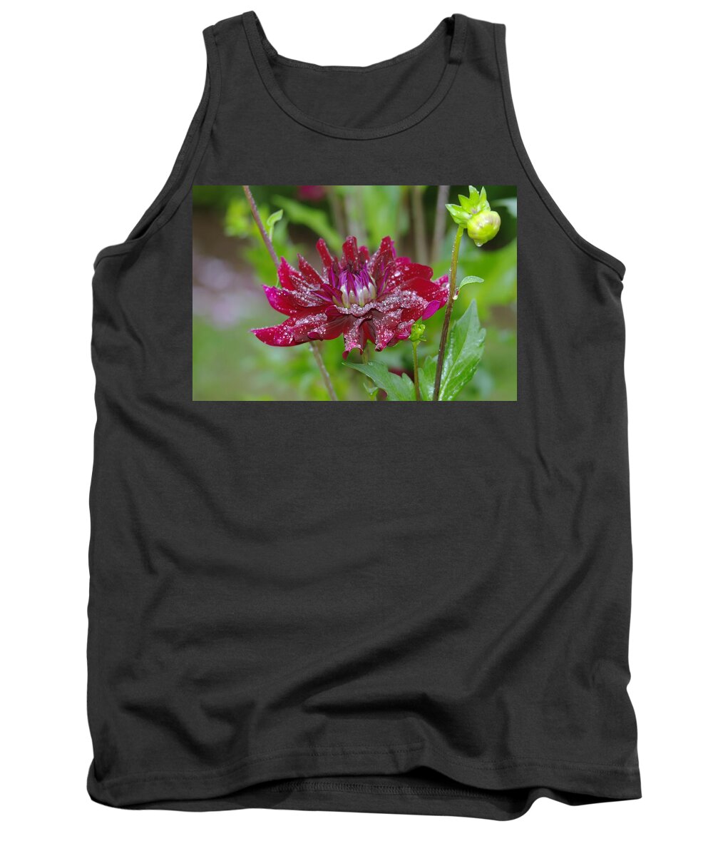 Viento Tank Top featuring the photograph Waterdrops on petals by Jeff Swan