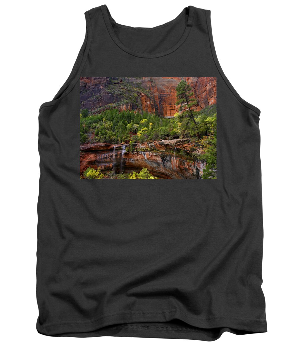 Feb0514 Tank Top featuring the photograph Waterfalls At Emerald Pools Zion Np Utah by Tim Fitzharris
