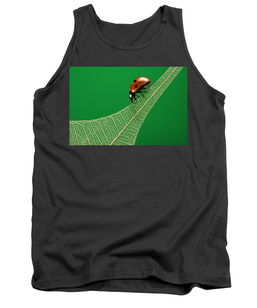 Bug Tank Top featuring the photograph Where have all the green leaves gone? by William Lee