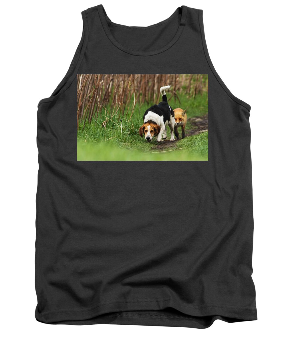Fox Tank Top featuring the photograph Where is the Fox by Mircea Costina Photography