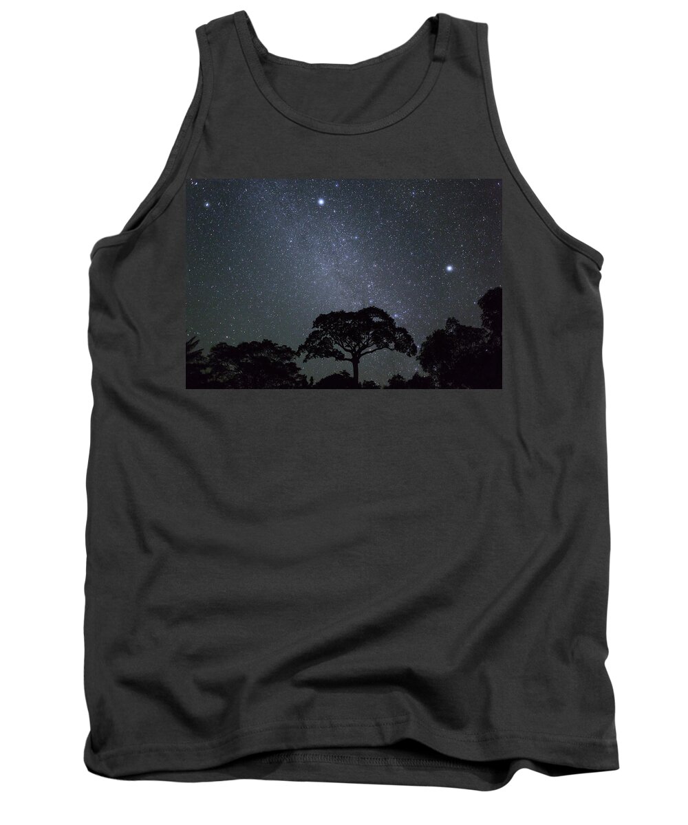 Konrad Wothe Tank Top featuring the photograph White Silk Floss Tree And Starry T Sky by Konrad Wothe