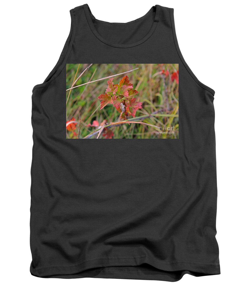 Fall Tank Top featuring the photograph Wild Gooseberry Leaves by Ann E Robson