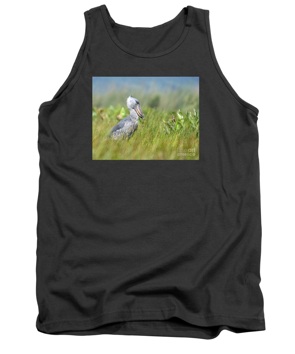 Shoebill Tank Top featuring the photograph Wild Shoebill Balaeniceps rex by Liz Leyden